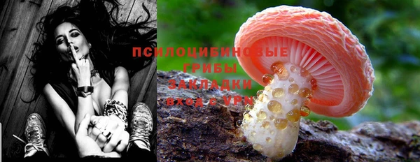 марки nbome Алзамай