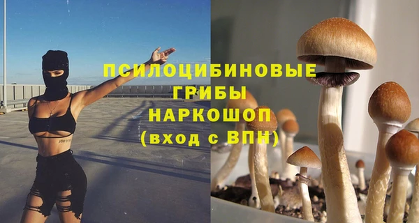 гашик Алексин