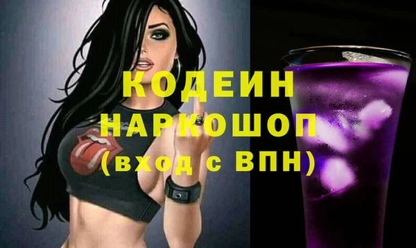 гашик Алексин