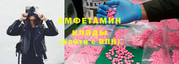 гашик Алексин