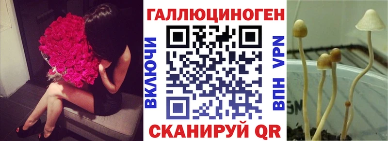 Галлюциногенные грибы Psilocybine cubensis  omg ONION  Салават 